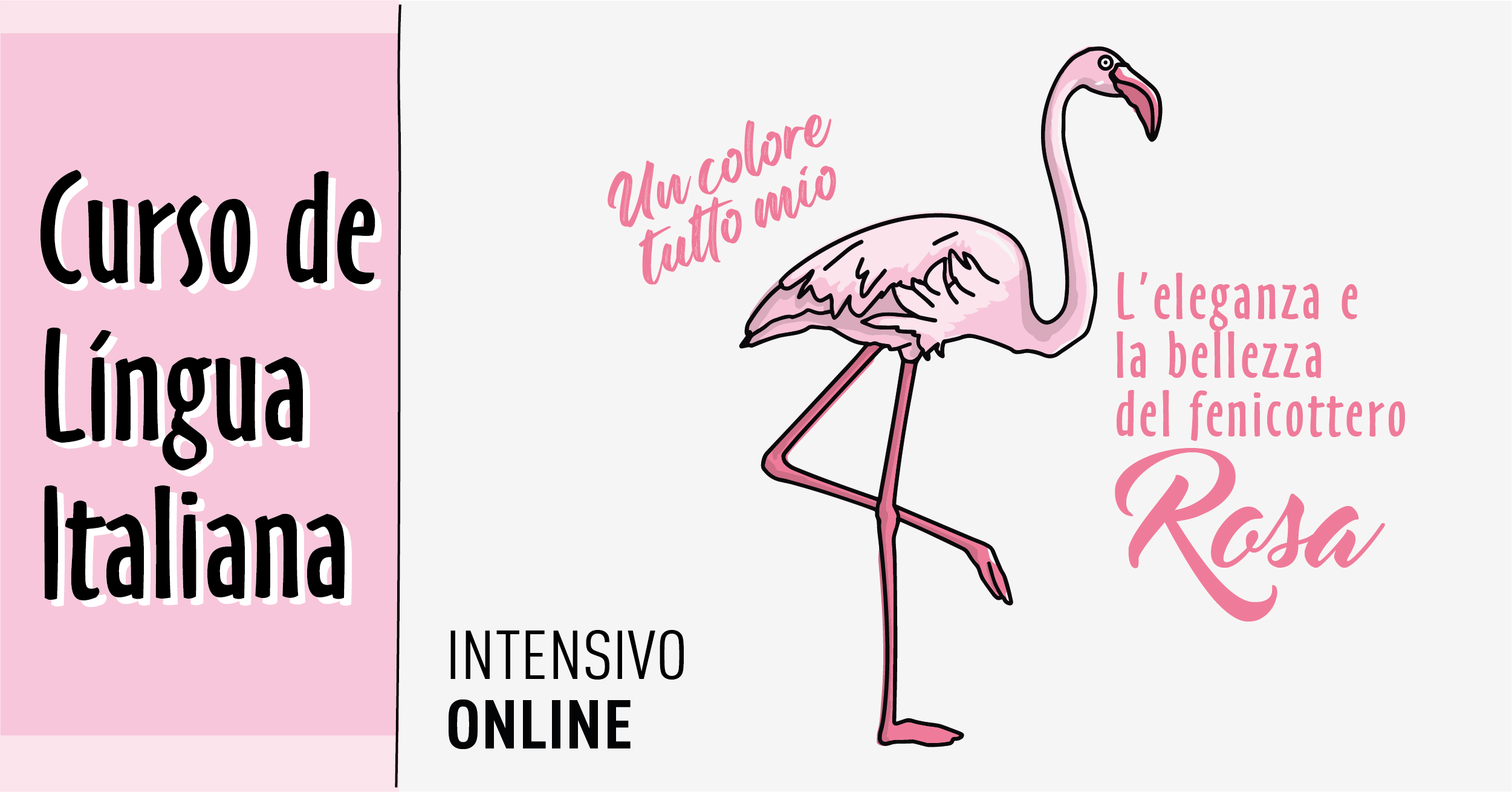 Intensivo online de AGOSTO